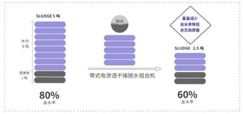 新環(huán)環(huán)保 污泥處置先進(jìn)技術(shù)產(chǎn)品服務(wù)商，引領(lǐng)綠色環(huán)保新未來(lái)